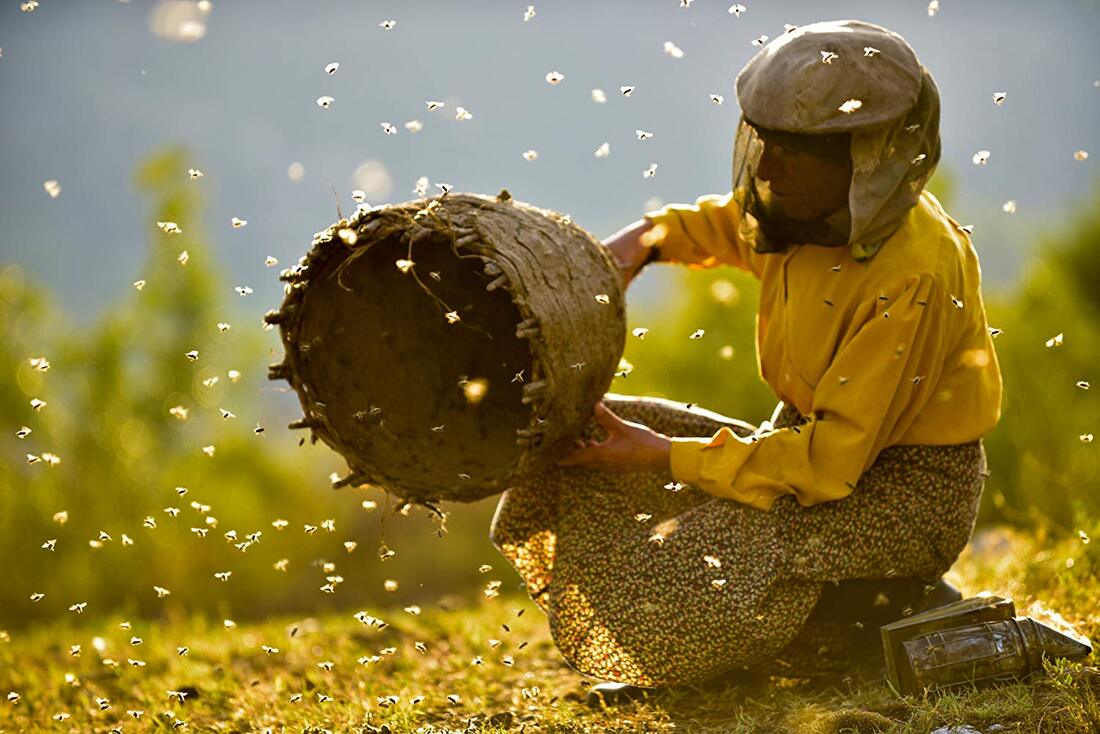 medena zemlja, honeyland